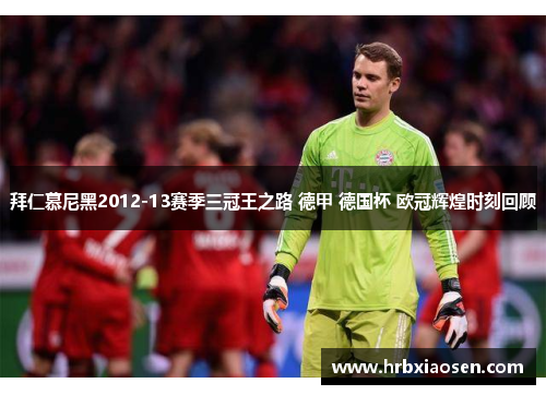 拜仁慕尼黑2012-13赛季三冠王之路 德甲 德国杯 欧冠辉煌时刻回顾