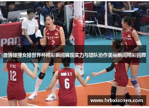 激情碰撞女排世界杯精彩瞬间展现实力与团队协作美丽瞬间精彩回顾