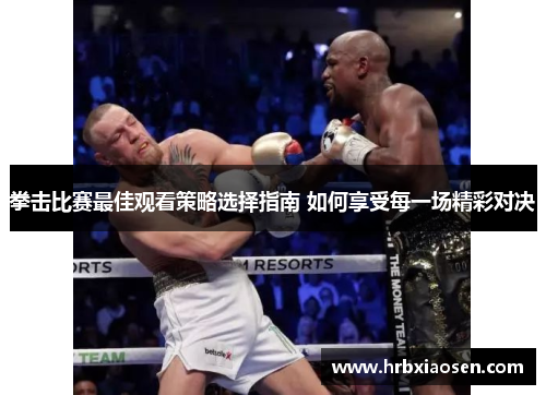 拳击比赛最佳观看策略选择指南 如何享受每一场精彩对决