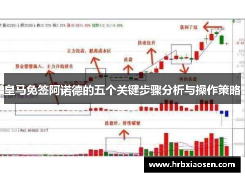 皇马免签阿诺德的五个关键步骤分析与操作策略