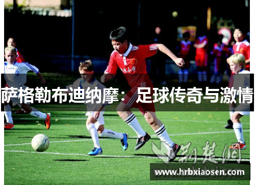 萨格勒布迪纳摩:足球传奇与激情 萨格勒布迪纳摩:足球传奇与激情