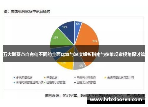 五大联赛各自有何不同的全面比较与深度解析指南与多维观察视角探讨篇