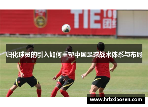 归化球员的引入如何重塑中国足球战术体系与布局