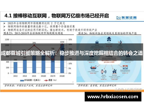 成都蓉城引援策略全解析：稳步推进与深度挖掘相结合的转会之道