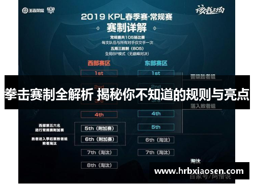 拳击赛制全解析 揭秘你不知道的规则与亮点