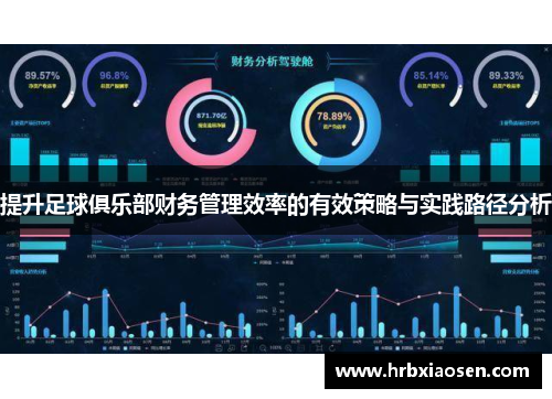 提升足球俱乐部财务管理效率的有效策略与实践路径分析