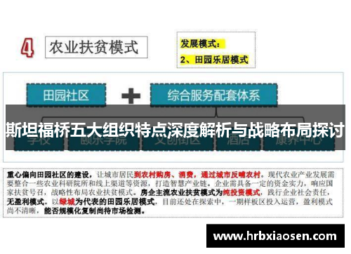 斯坦福桥五大组织特点深度解析与战略布局探讨